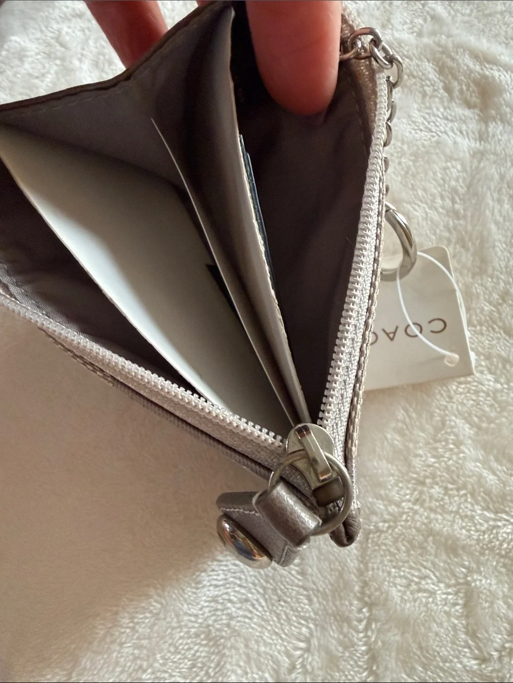 Signature Coach Mini Skinny Case